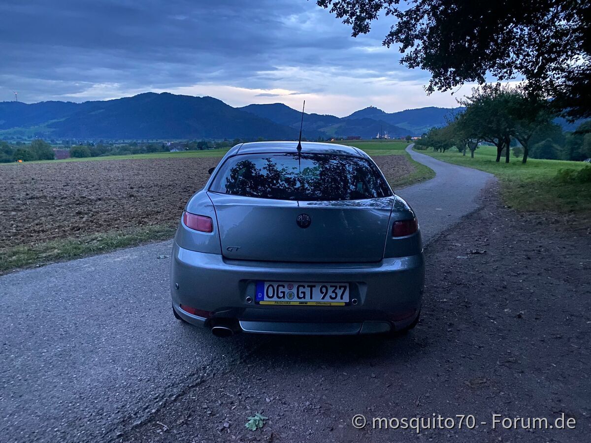 Alfa GT
