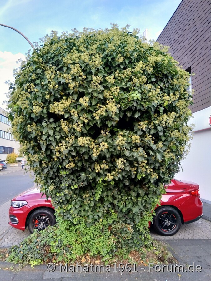Versteckspiel