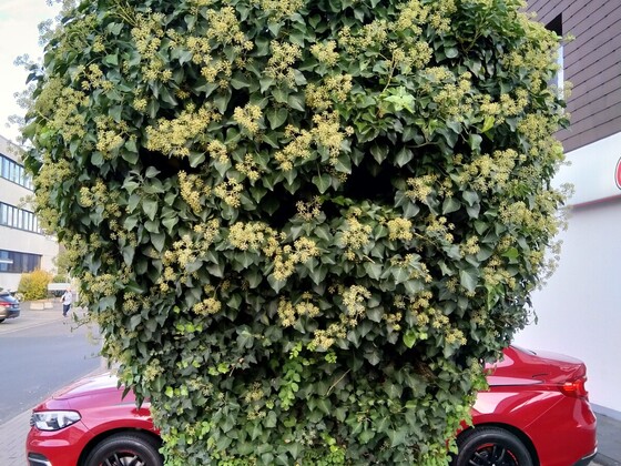 Versteckspiel