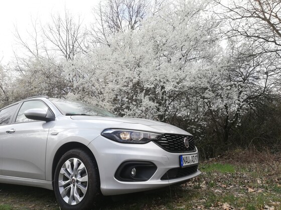 Frühling