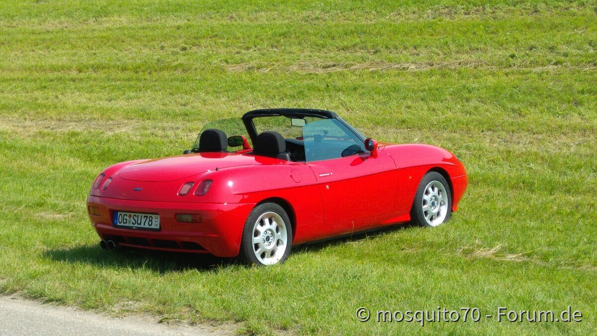 Mit der alten Dame am See