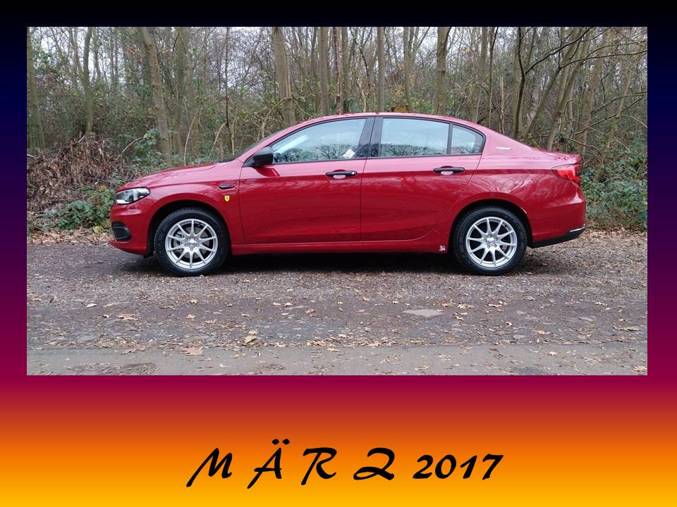 "Privater" TIPO-Kalender 2017