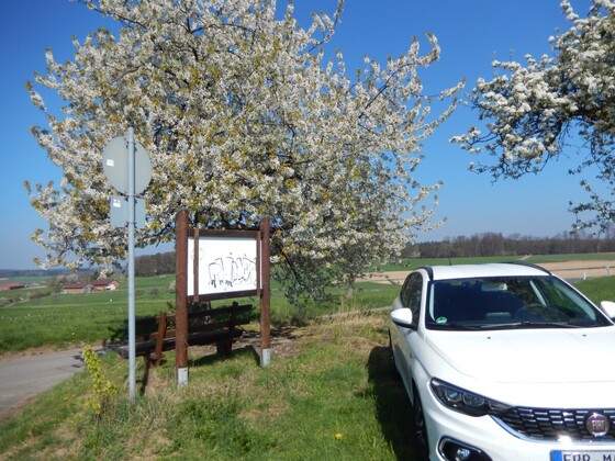 Frühlingsweiß