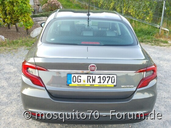 Mein Tipo Pic4