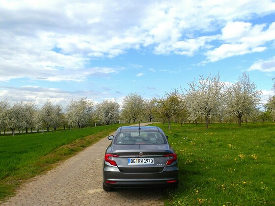 Kleines Limousinen Foto Shooting