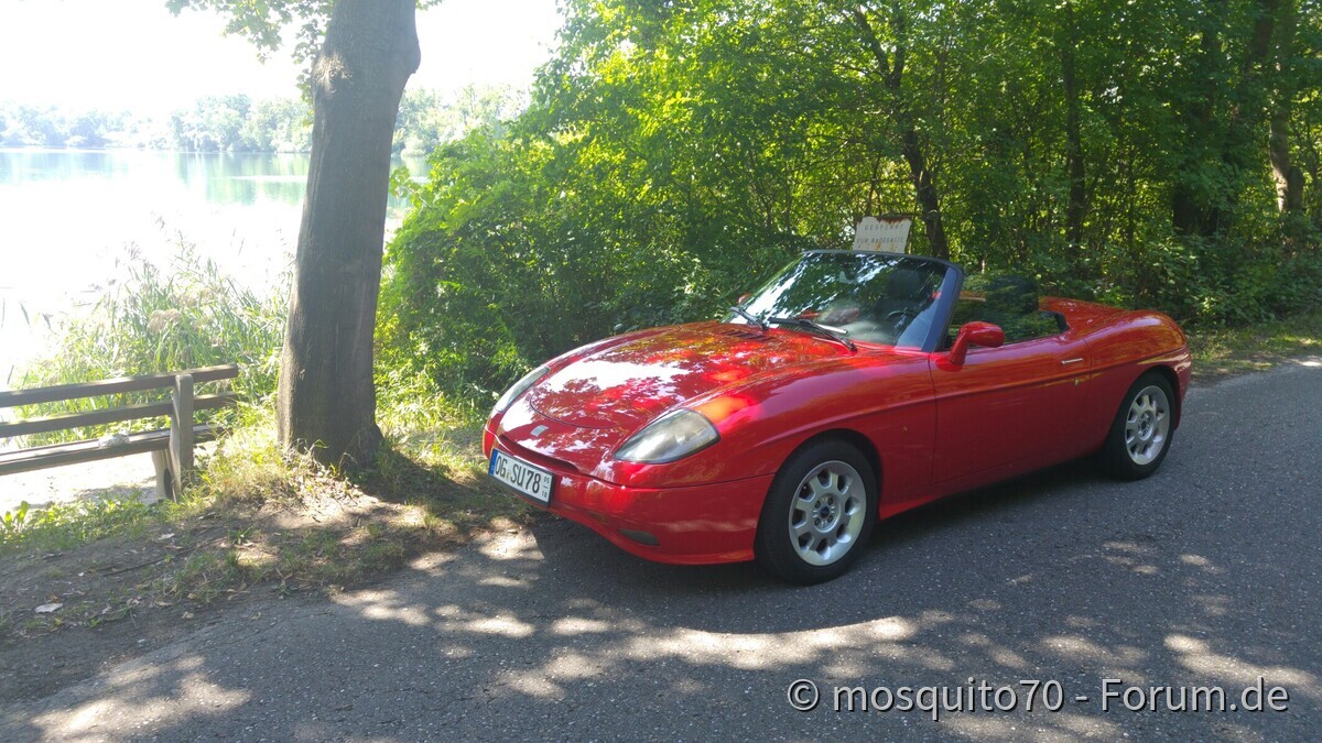 Ein Tag am See mit der alten Dame