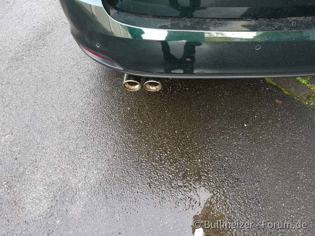Edelstahlendschalldämpfer am Kombi