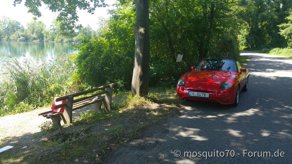 Ein Tag am See mit der alten Dame
