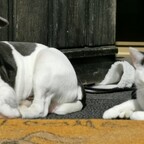 So lässt sich leben