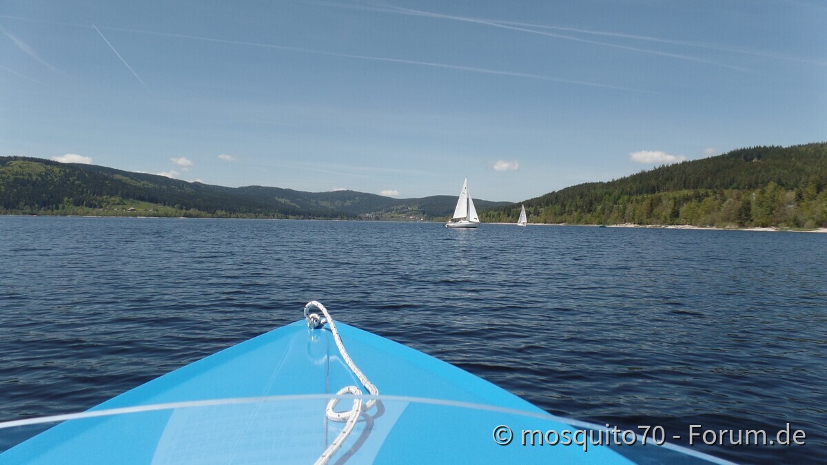 Black Forrest Connection