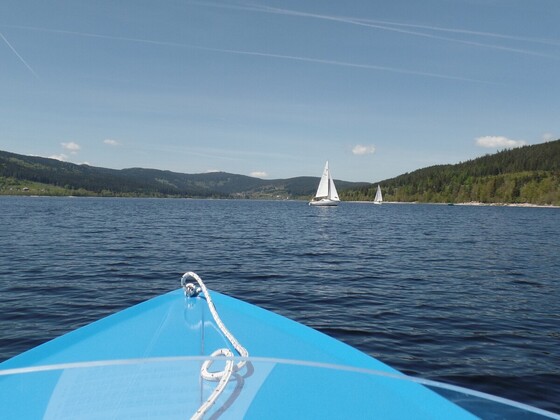 Black Forrest Connection