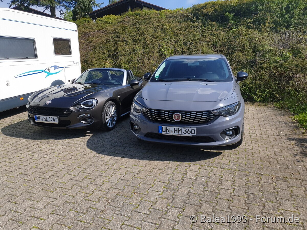 Schwarzarbeit im Schwarzwald