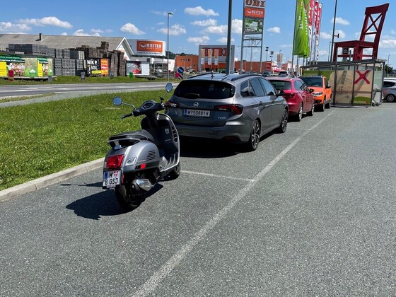 2 graue Italiener im Burgenland