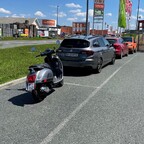 2 graue Italiener im Burgenland