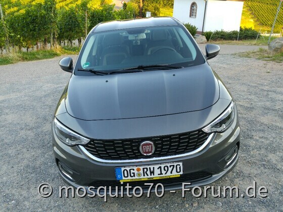Mein Tipo Pic6