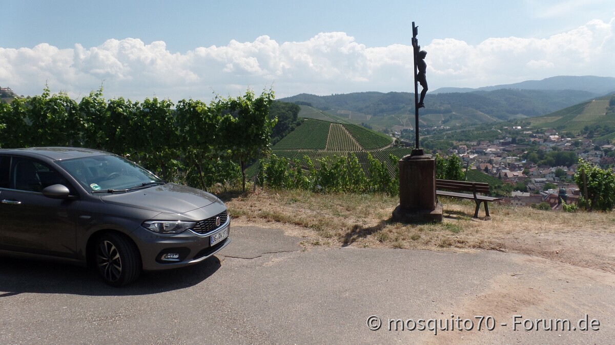 Der Tipo und die Weinberge über Durbach