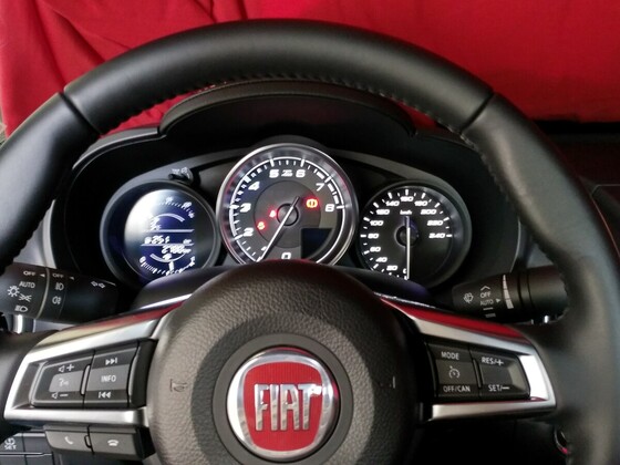 Meine Winterschläfer