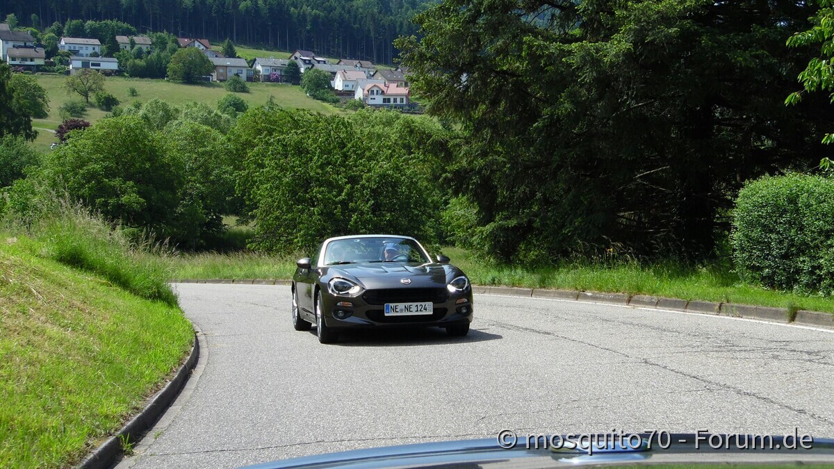Tour de Schwarzwald Team Tipo Forum