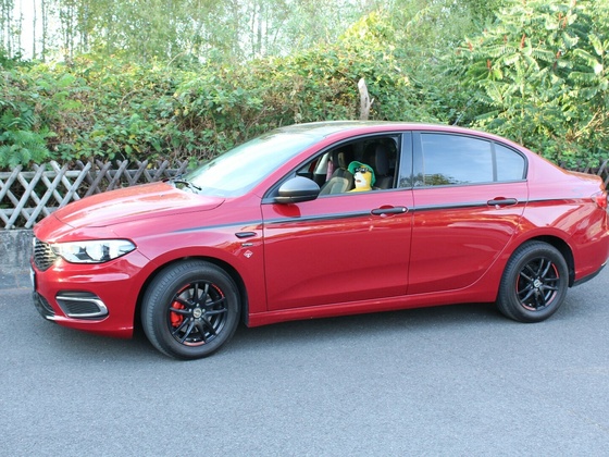 Flat Eric gefällt der Tipo