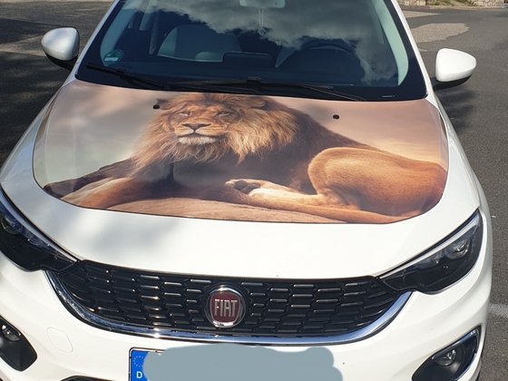 Im neuen Gewand