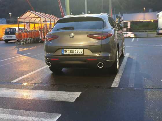 Alfa Romeo Stelvio Super 2.2 L 210 PS Neues Familien Mitglied