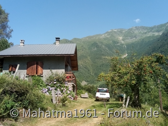 Panda, die Bergziege.