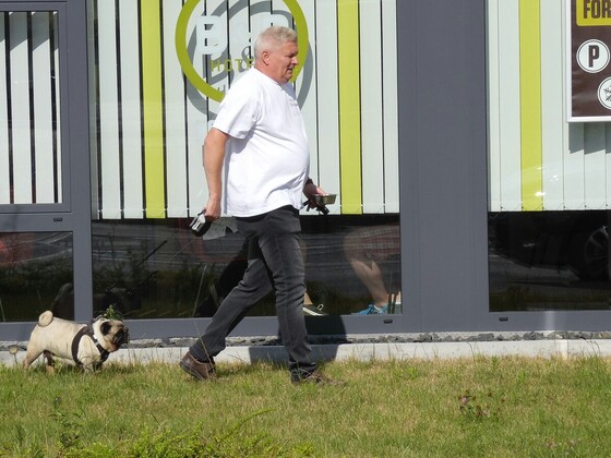 Thomas mit Mops