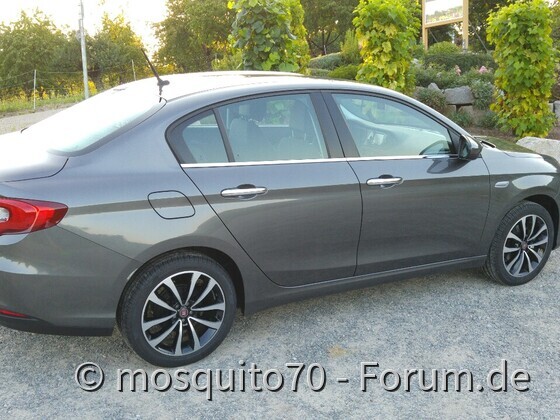 Mein Tipo Pic7