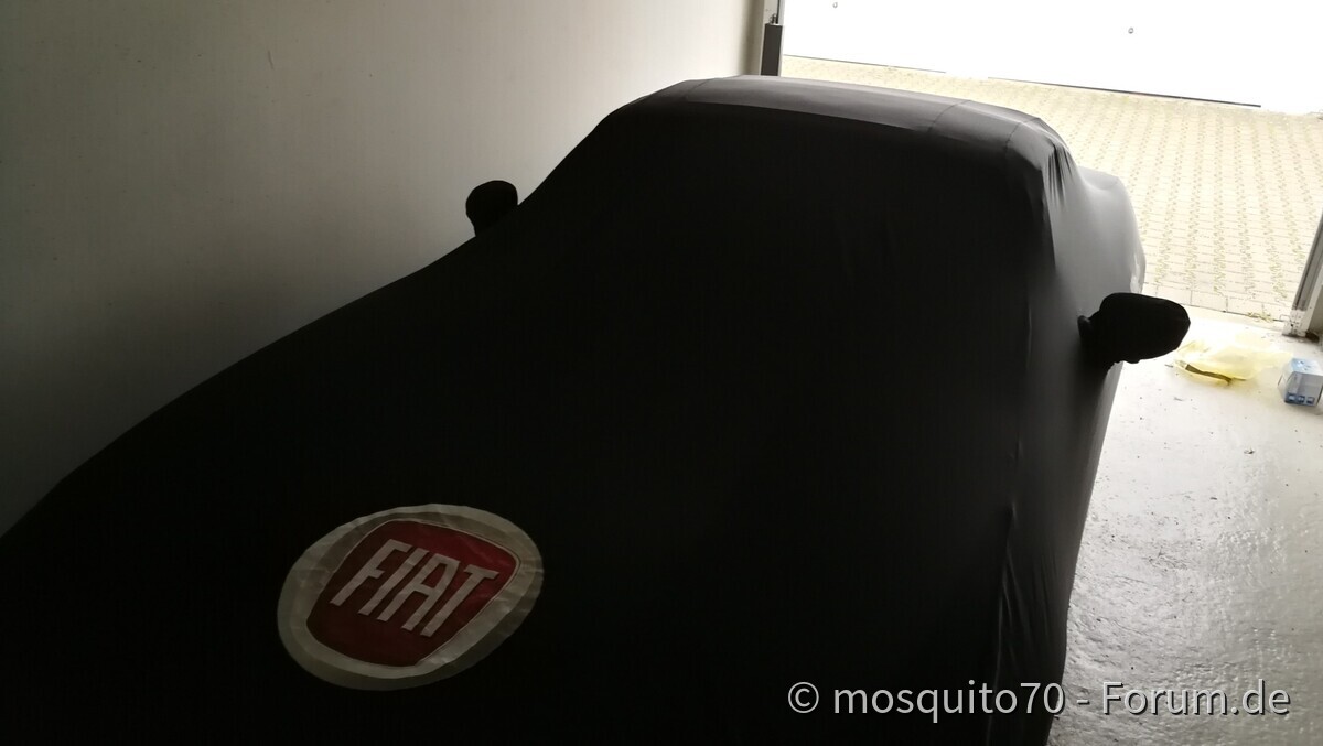 Abdeckung 124 Spider