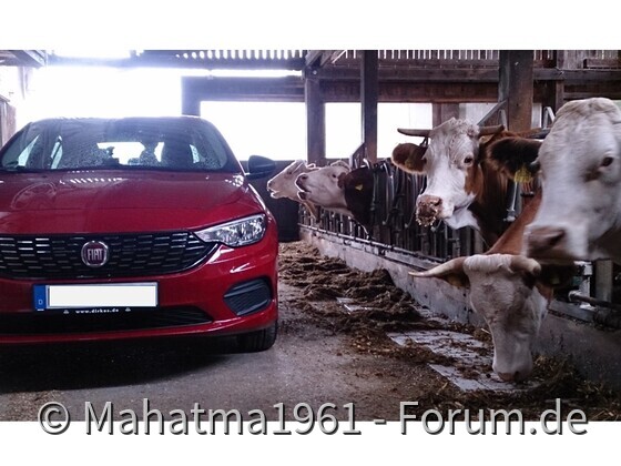 Fiat trifft Landwirtschaft