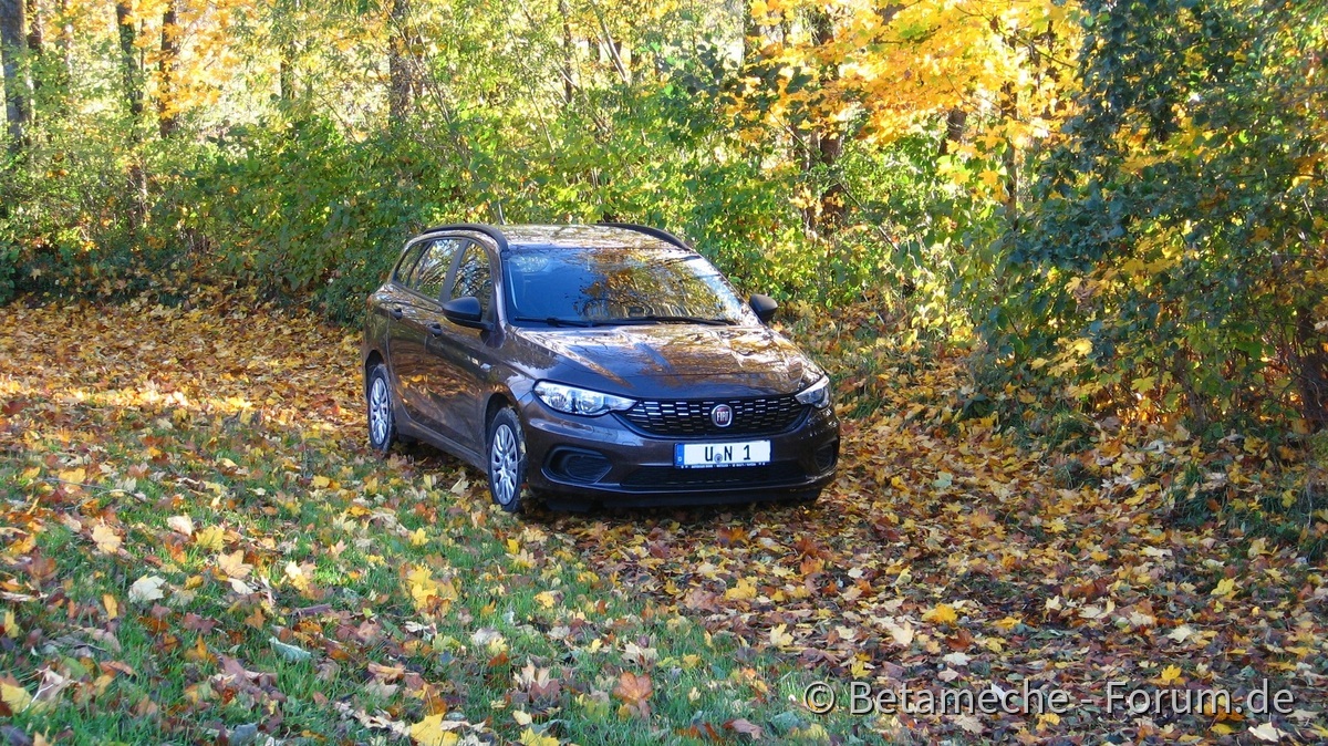 Herbstfarben