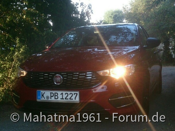 Morgendliche Waldbesichtigung