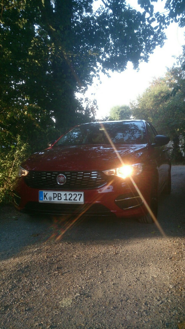 Morgendliche Waldbesichtigung