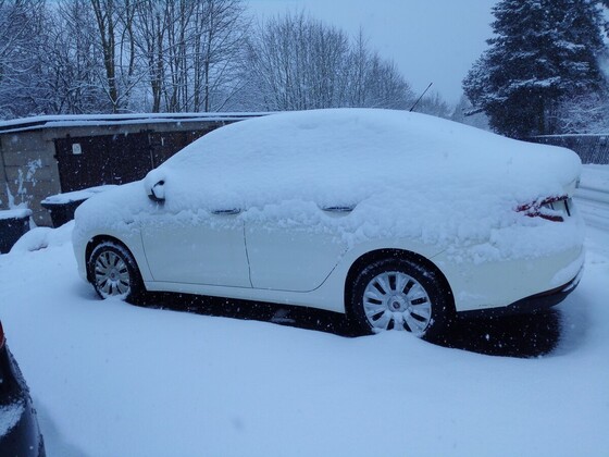Winter 2019