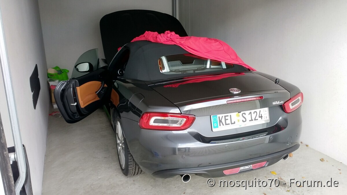 Meine Winterschläfer