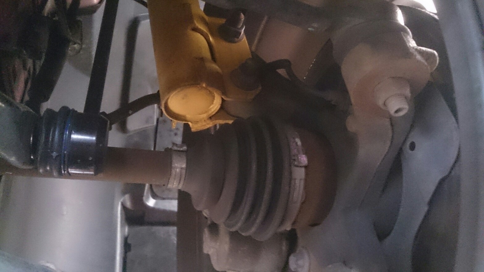 Tipo Eindrücke vom Gebrauchtwagencheck