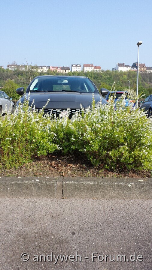 Wo isser denn?