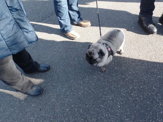Tipo Treffen an der Classic Remise in Düsseldorf