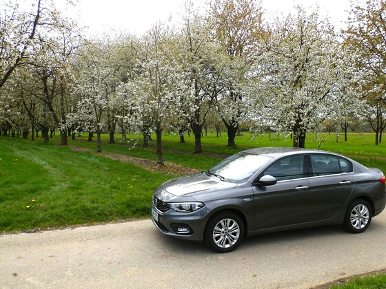 Kleines Limousinen Foto Shooting