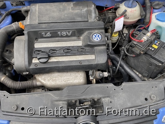 Tim( VW Lupo)