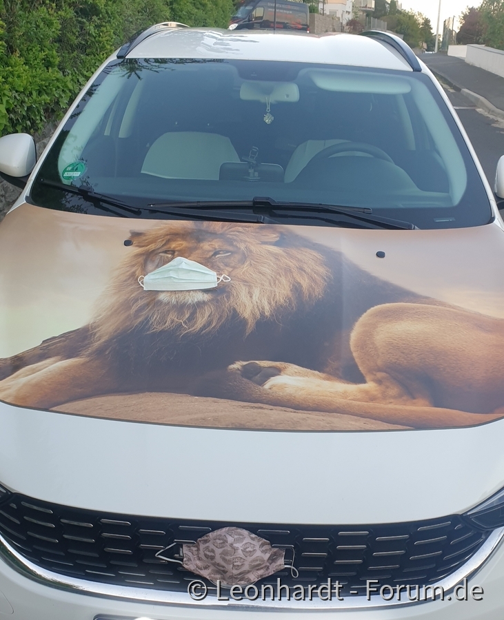 Maskenpflicht und Odin macht mit