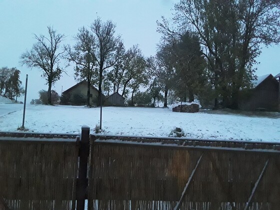 Winter