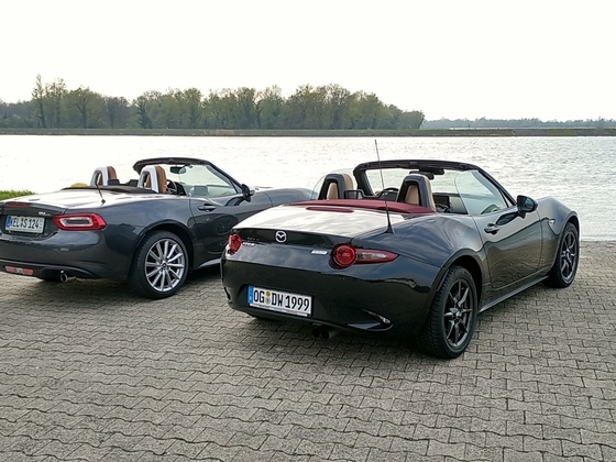 Ausritt zum Rhein