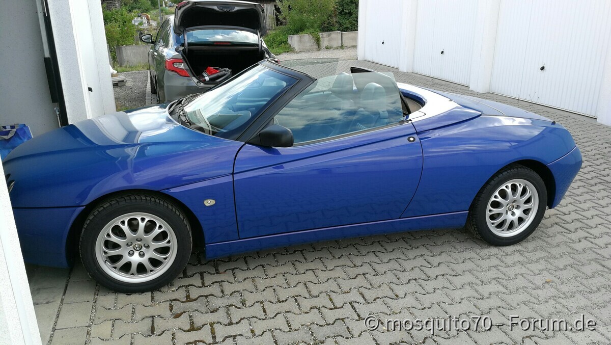 Das Ende des Dornröschenschlaf