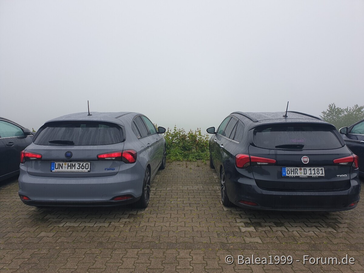 Francis & Wade halten Ausschau nach gutem Wetter