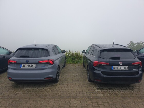 Francis & Wade halten Ausschau nach gutem Wetter