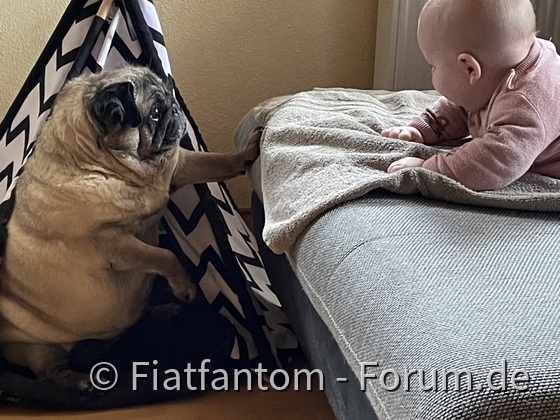 Maja hat Besuch von klein Emmi