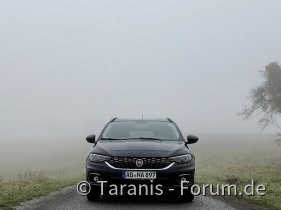 Das schöne im düsterem Nebel
