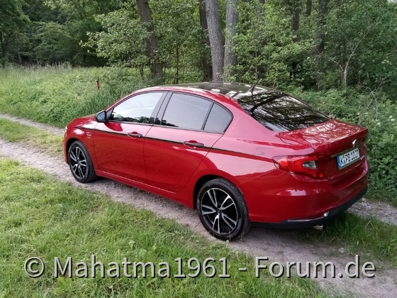 Da zwitschern die Vögel....