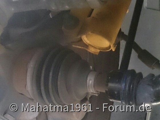 Tipo Eindrücke vom Gebrauchtwagencheck